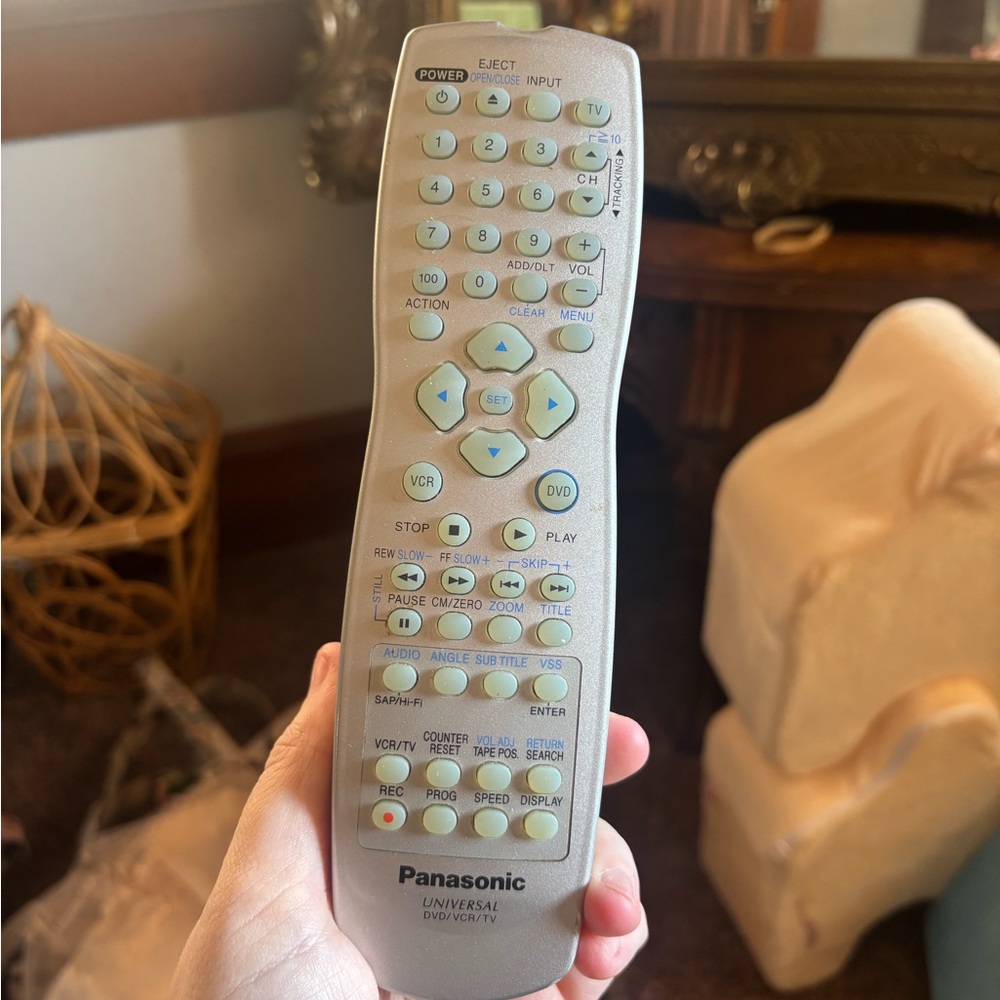 Panasonic Silver Universal Remote